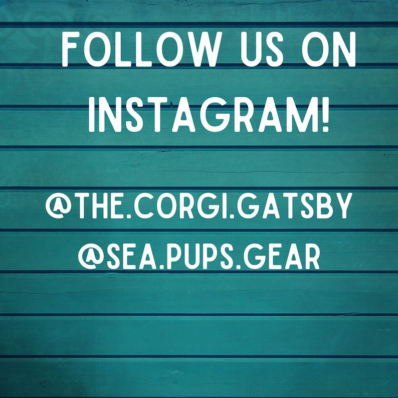 May include: Text on a teal wood background that reads "FOLLOW US ON INSTAGRAM! @THE.CORGI.GATSBY @SEA.PUPS.GEAR"