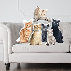 May include: Six cat-shaped pillows on a white couch. The pillows are made of white fabric with a printed image of a cat on each. The cats are all different breeds and colors.