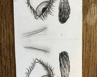 yeux de charbon de bois