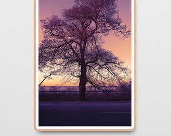 Sunset Tree Seascape Photography Print – Scenic Nature Wall Art