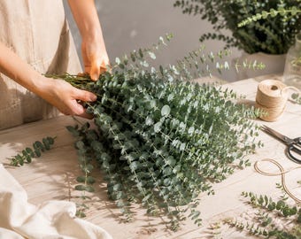 Tiges d'eucalyptus artificielles pour décoration de mariage | Branches d'eucalyptus en faux dollar en argent | De la verdure en vrac pour les centres de table