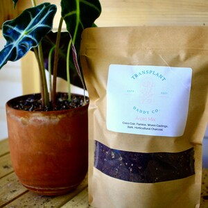 May include: A brown paper bag with a white label that says "TRANSPLANT DADDY CO. Aroid Mix Coco Coir, Pumice, Worm Castings, Bark, Horticultural Charcoal" and a brown pot with a green plant inside.