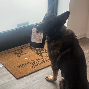 Puede incluir: Un perro pastor alem&aacute;n negro y marr&oacute;n se sienta en un suelo de madera, sosteniendo un paquete de golosinas para perros "Buck Hearts Hand Cut" en su boca. El perro est&aacute; mirando a la c&aacute;mara. El paquete est&aacute; etiquetado con el nombre de la marca "Canine C.U.T.S."