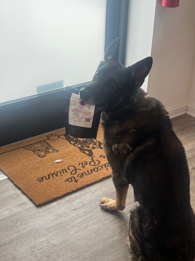 Puede incluir: Un perro pastor alem&aacute;n negro y marr&oacute;n se sienta en un suelo de madera, sosteniendo un paquete de golosinas para perros "Buck Hearts Hand Cut" en su boca. El perro est&aacute; mirando a la c&aacute;mara. El paquete est&aacute; etiquetado con el nombre de la marca "Canine C.U.T.S."