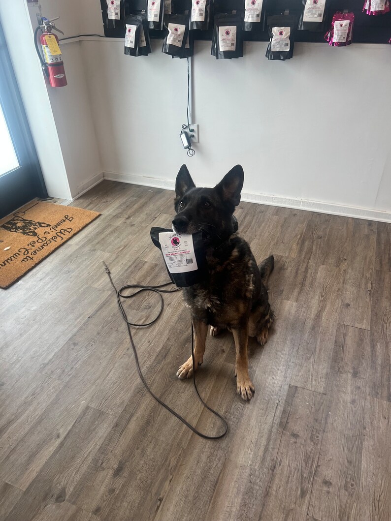 Puede incluir: Un perro pastor alem&aacute;n negro y marr&oacute;n sentado en un suelo de madera, sosteniendo una bolsa negra con una etiqueta blanca que dice "The Doggy Donut Co."