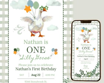 Editable One Silly Goose First Birthday Invitation Video Green Little Boy Lucky Duck Personalables Digital Party Invite Gingham Wagd01
