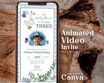 Editable Silly Goose Birthday Invitation Photo Video Blue Little Boy Lucky Duck Any Age Personalables First Digital Invite Gingham Wagd01