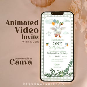 Editable One Silly Goose First Birthday Invitation Video Green Little Boy Lucky Duck Personalables Digital Party Invite Gingham Wagd01