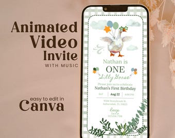 Editable One Silly Goose First Birthday Invitation Video Green Little Boy Lucky Duck Personalables Digital Party Invite Gingham Wagd01