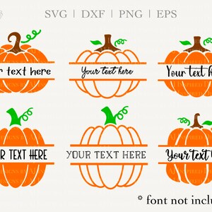 Puede incluir: Seis gráficos de calabazas naranjas con tallos y zarcillos verdes, cada uno con una división horizontal para texto personalizado. El texto "Your text here" aparece en varias fuentes negras en el centro. En la parte superior dice SVG | DXF | PNG | EPS.