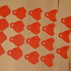 May include: Twenty red plastic tags with numbers 1 through 20 printed on them. The tags are shaped like a rounded rectangle with a hole at the top.
