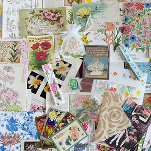 Kit éphémère botanique vintage de plus de 100 pièces, pages de livres botaniques illustrés, fournitures pour carnets botaniques, fournitures pour arts/artisanat botaniques