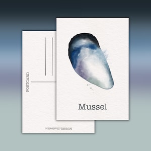 Carte postale illustration de moules, impressions d'art illustrées au format A6, cadeaux artistiques, mini impressions, jolies cartes de correspondance numériques dessinées à la main