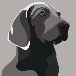 Portrait d'animal de compagnie personnalisé, illustration numérique d'animal de compagnie, cadeau pour amoureux des animaux de compagnie, dessin d'animal de compagnie personnalisé, illustration dessinée à la main, portrait d'animal de compagnie à partir d'une photo