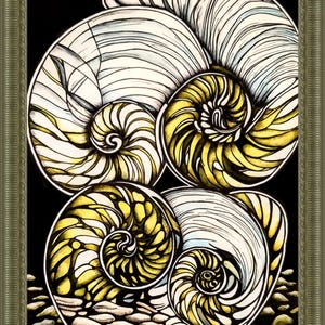 Nautilus Shell Art - Techniques mixtes - Sans cadre