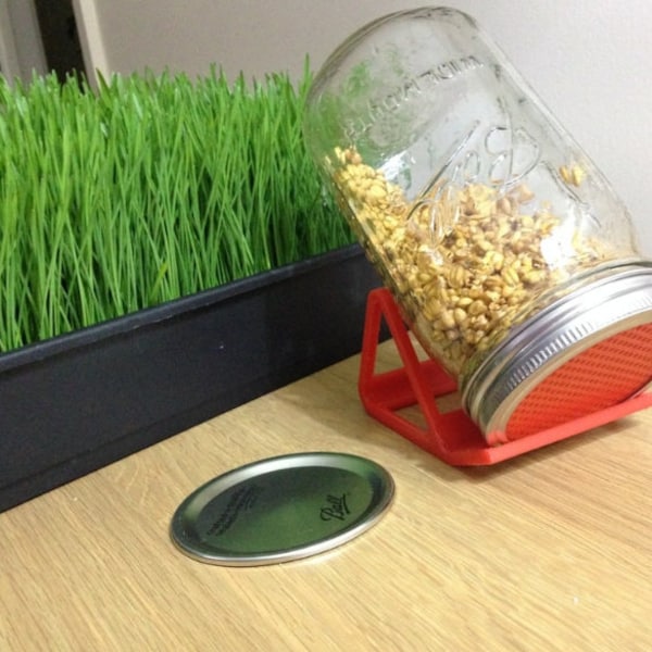 Jar Sprouter Stand and Strainer Lid | Microgreens and Sprouts