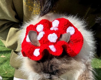 mushie cat hat