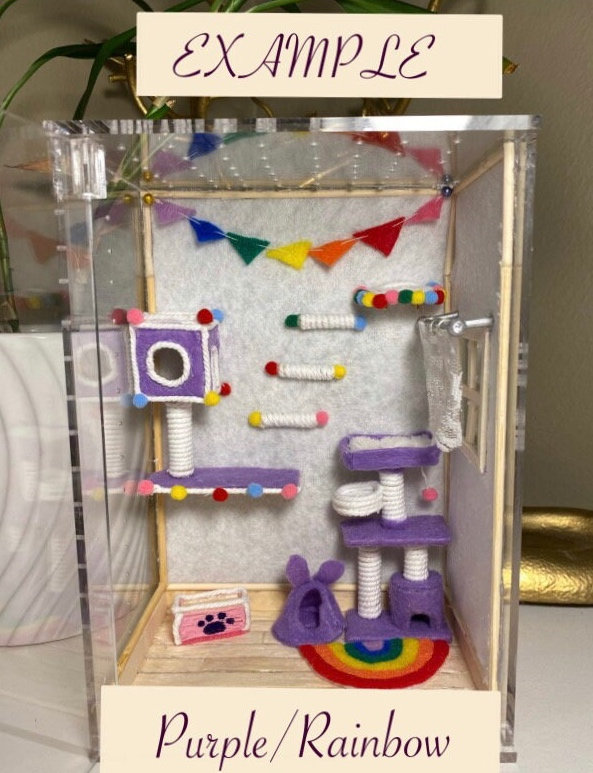 Custom Cat Room Jumping Spider Enclosures