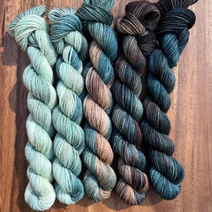 May include: Five skeins of hand-dyed yarn in a variety of colors, including shades of teal, brown, and green. The yarn is arranged in a row, with each skein showing a different color variation. The yarn is likely for knitting or crocheting projects.