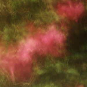 Abstract pink bougainvillea print, soft floral abstract photo, vintage feel pink and green flower abstract print, canvas or glossy print