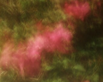 Abstract pink bougainvillea print, soft floral abstract photo, vintage feel pink and green flower abstract print, canvas or glossy print