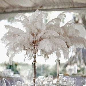 Natural Ostrich Feathers / Plumes For Centerpieces - Temu