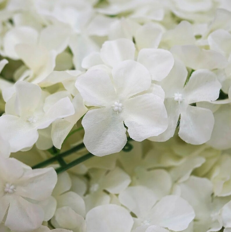 8X8 FT Ivory Flower Wall Backdrop Cream Hydrangea Flowers Etsy