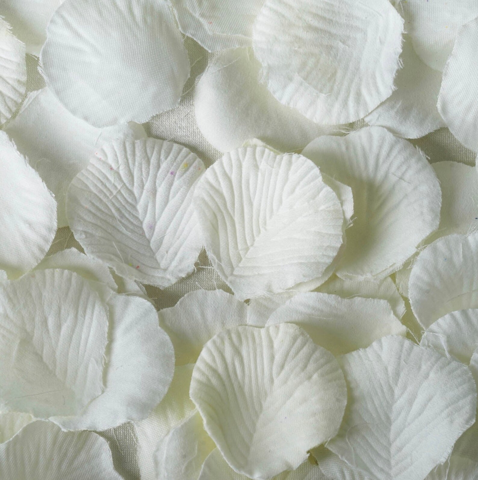 5000 Ivory Flower Petals Ceremony Decorations Floral Aisle Etsy