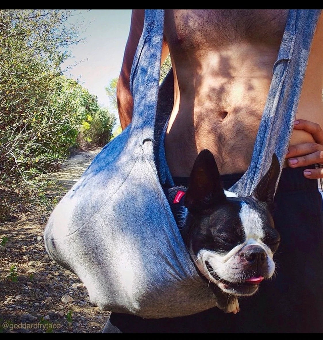 Men's Dog Messenger Pet Tote Bag Carrier Sling Etsy