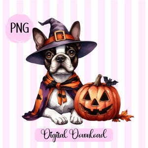 Boston Terrier Halloween PNG Halloween dog png Happy Halloween png Boston Terrier Clipart Spooky Season png Pet Halloween Shirt Dog Mom png