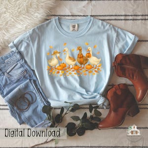 May include: Light blue t-shirt featuring a fall-themed graphic of five geese with pumpkins and autumn leaves. The geese are wearing a hat, scarf, and a jack-o'-lantern bucket. The words "Digital Download" are printed at the bottom of the image.