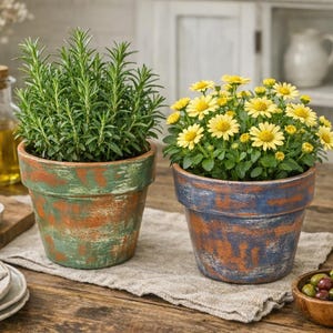 May include: Two rustic terracotta pots, one with rosemary and the other with yellow daisies. The pots have a distressed finish in shades of green, blue, and orange. The scene suggests a kitchen or dining setting.