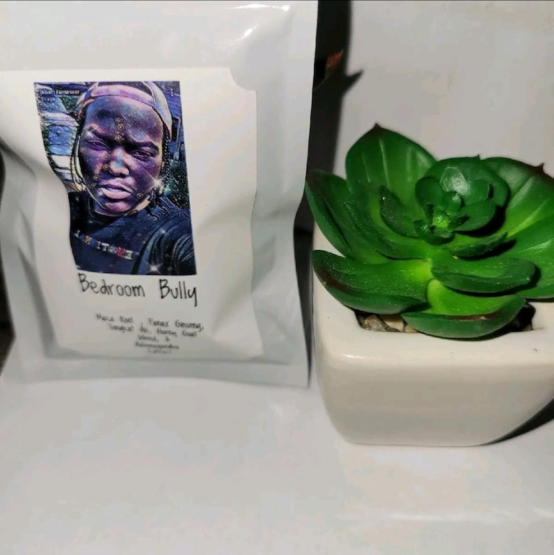 Puede incluir: Una bolsa blanca con el texto "Bedroom Bully" y un retrato de una persona. Una peque&ntilde;a planta suculenta verde se encuentra en una maceta cuadrada blanca a la derecha de la bolsa. La bolsa tiene texto adicional debajo del retrato.