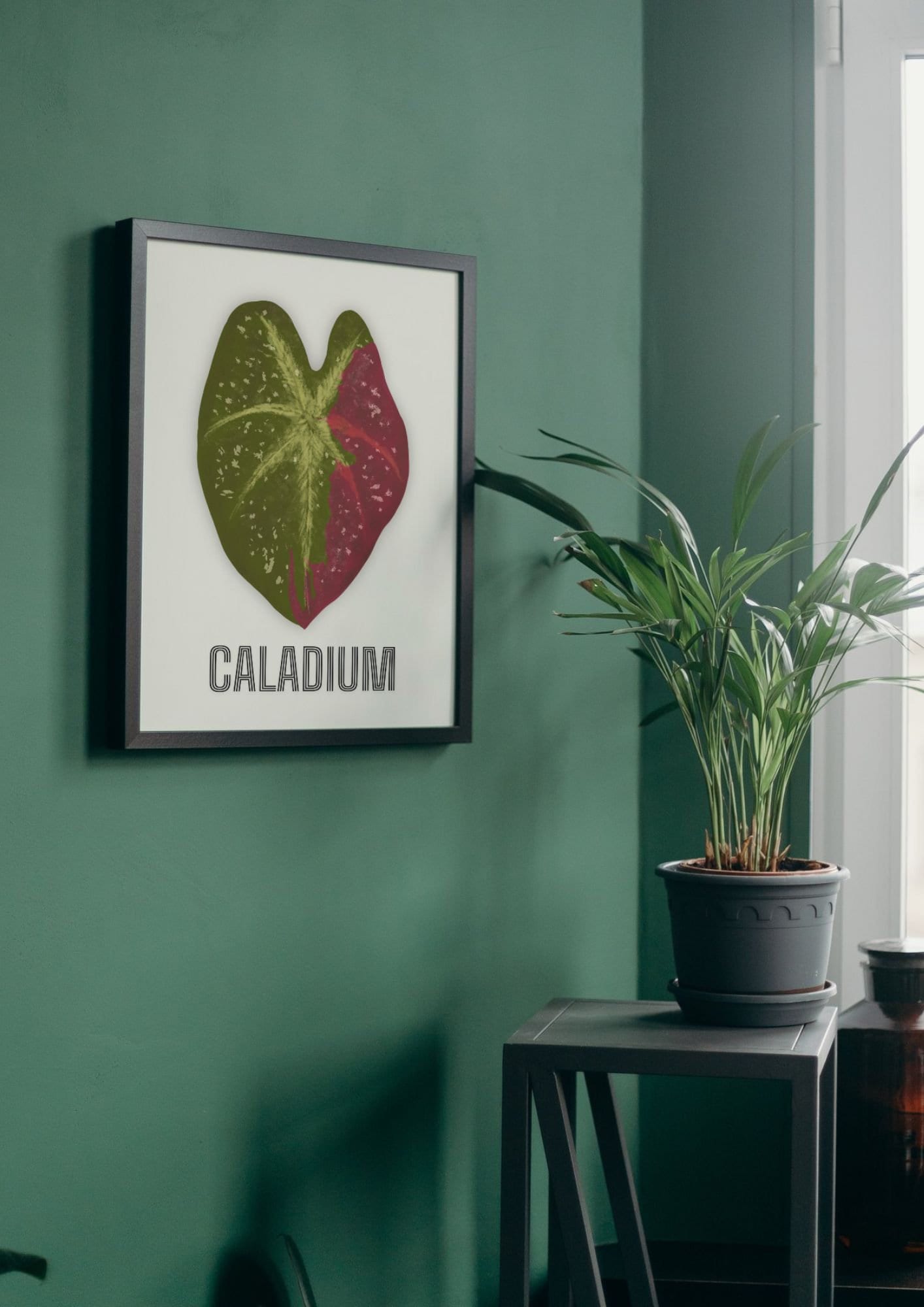 Printable Caladium Poster Set - 2 Designs, Various Sizes (A1, A2, A3 ...