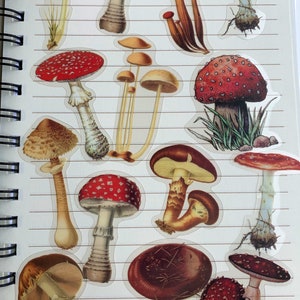 Large Mushroom Stickers  Clear Mushroom Stickers  Translucent Mushroom Stickers  Stickers  Autumn Stickers  Planner Stickers  Junk Journal