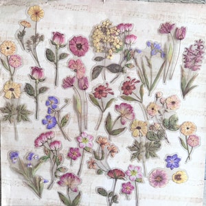 Stickers végétaux 40 pièces Stickers transparents Stickers végétaux floraux Collections automne Stickers d'embellissement Stickers transparents Scrapbook