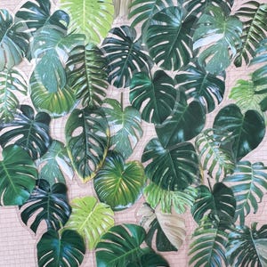 Stickers Monstera, Stickers plantes transparents, Stickers botaniques, Stickers transparents, Stickers feuilles vertes, Scrapbooking, Ordinateur portable, Téléphone, Décalcomanies