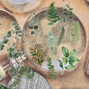 40 adesivos transparentes para plantas, adesivos botânicos, adesivos para plantas, adesivos transparentes, bullet journal, scrapbooking, adesivos variados de natureza