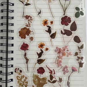 Stickers plantes 40 pièces Stickers transparents Stickers plantes botaniques Collections automne Stickers embellissement Stickers transparents Scrapbook