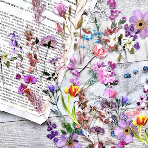 Lot de 40 autocollants pour plantes autocollants transparents Autocollants pour plantes botaniques Collections d'autocollants d'embellissement Autocollants transparents