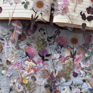 Puede incluir: Una colección de pegatinas transparentes con diseños botánicos y de setas. Las pegatinas incluyen imágenes de margaritas, setas y varias flores secas. Las pegatinas están dispuestas sobre una superficie de madera y cerca de un cuaderno abierto.