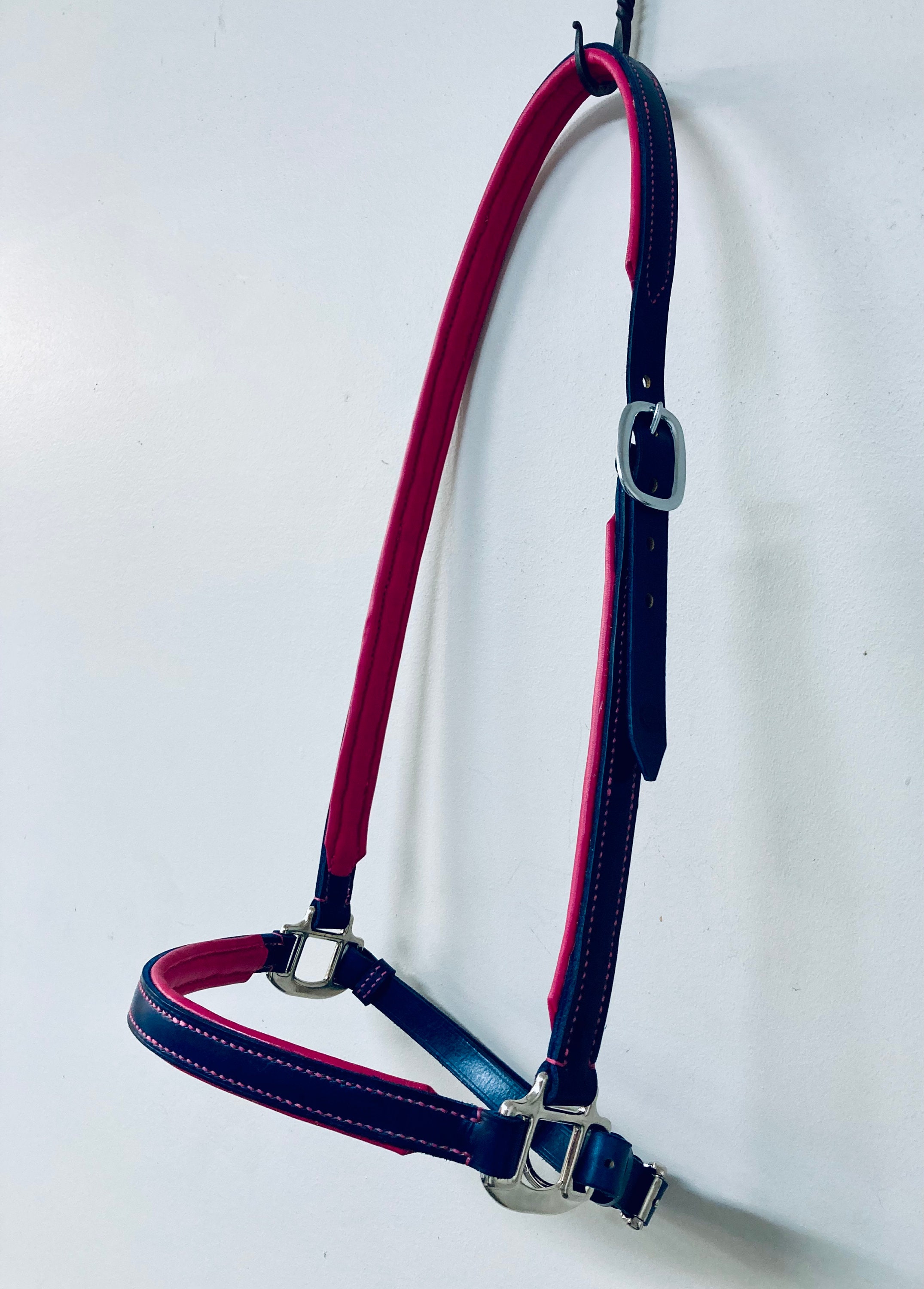 Grooming Halter Fully Custom Leather Grooming Halter, Full Grain Leather With Lambskin Padding