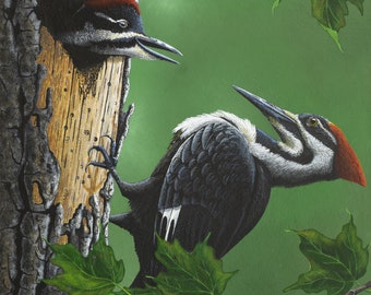 Pileated Woodpecker Print, Woodpecker Family Wall Art, Woodpecker Wall Decor