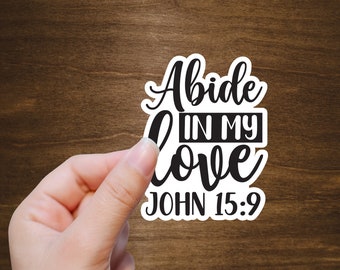 C132 John 15:9