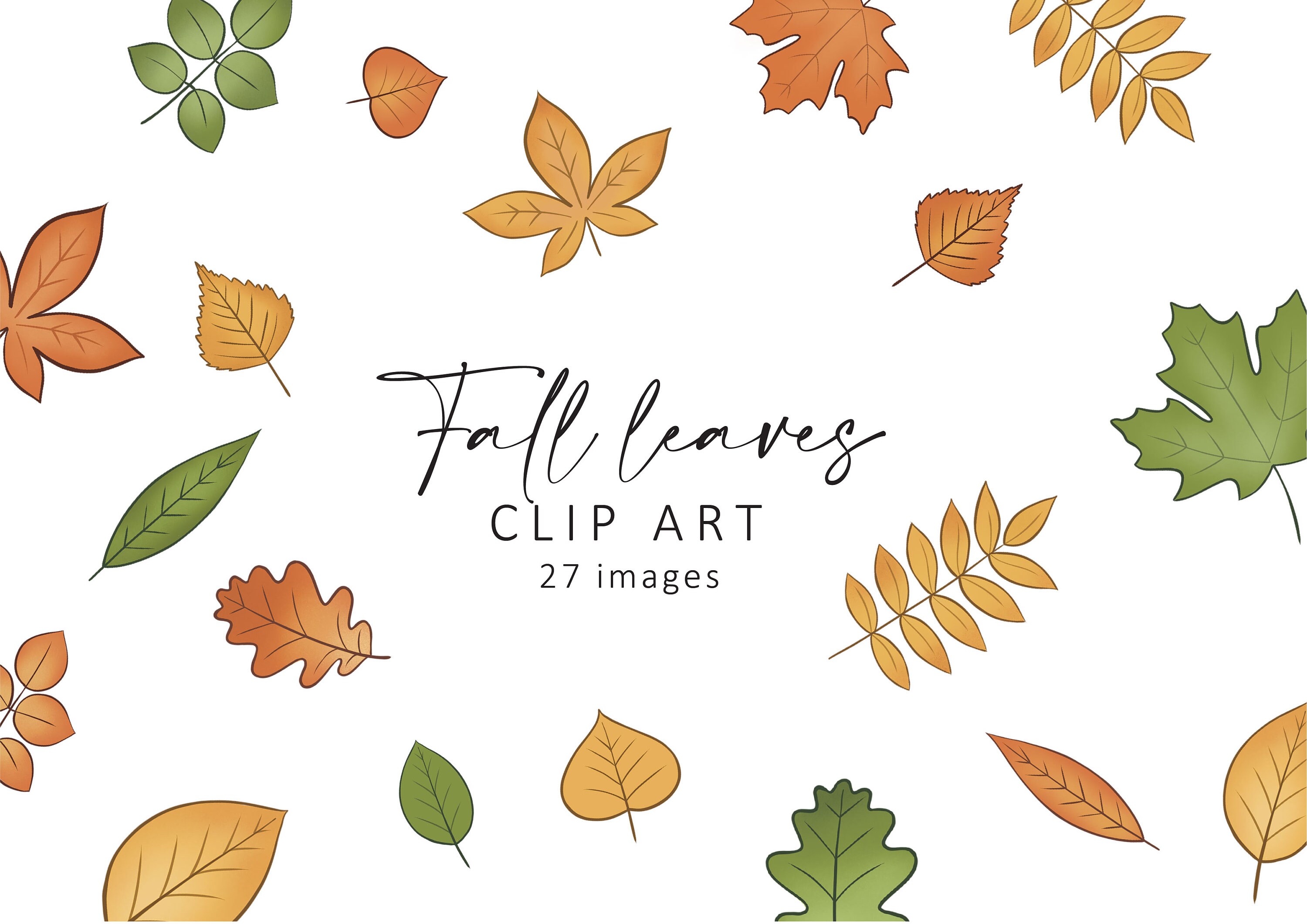 Fall Leaves Clipart, Fall Leaves Svg, Fall Svg Designs, Fall Clipart