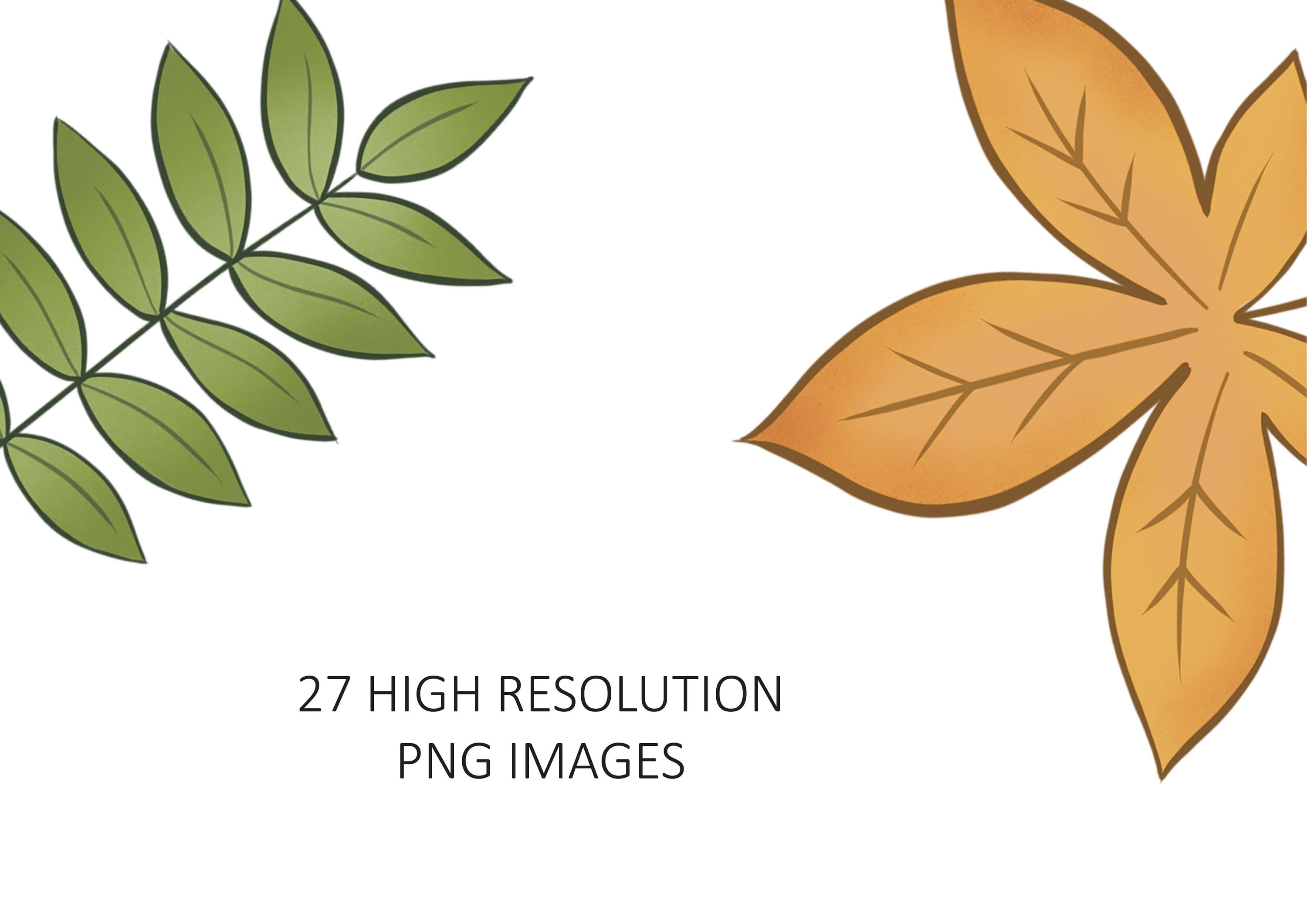 Fall Leaves Clipart, Fall Leaves Svg, Fall Svg Designs, Fall Clipart