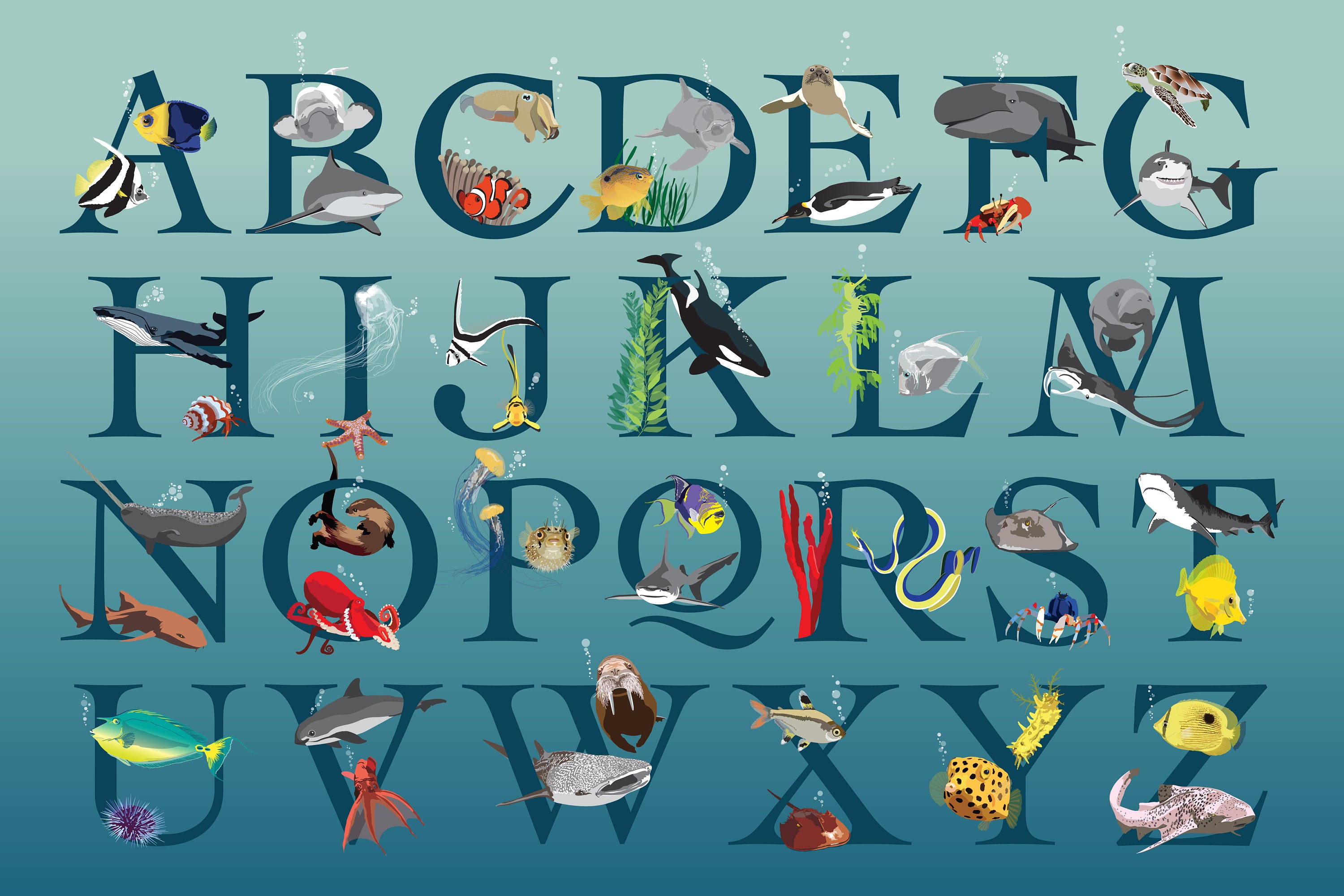 Sea Life Alphabet Poster Horizontal Etsy