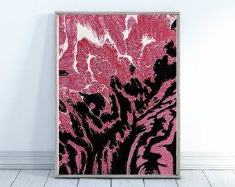 8x10 canvas - Omniscient Discovery - Pink & black Abstract wall Art Paint pouring Fluid Art  Flow Art double cup pour UNFRAMED