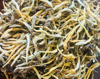 Organic Dried Japanese Honeysuckle Flower Tea | Current Season  | 0.25 oz/7g | 0.5 oz/14g | 1 oz/28g