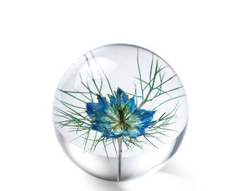 In Flore Flor, Nigella Love in teh Mist, Paperweight, 8 cm, Blue
